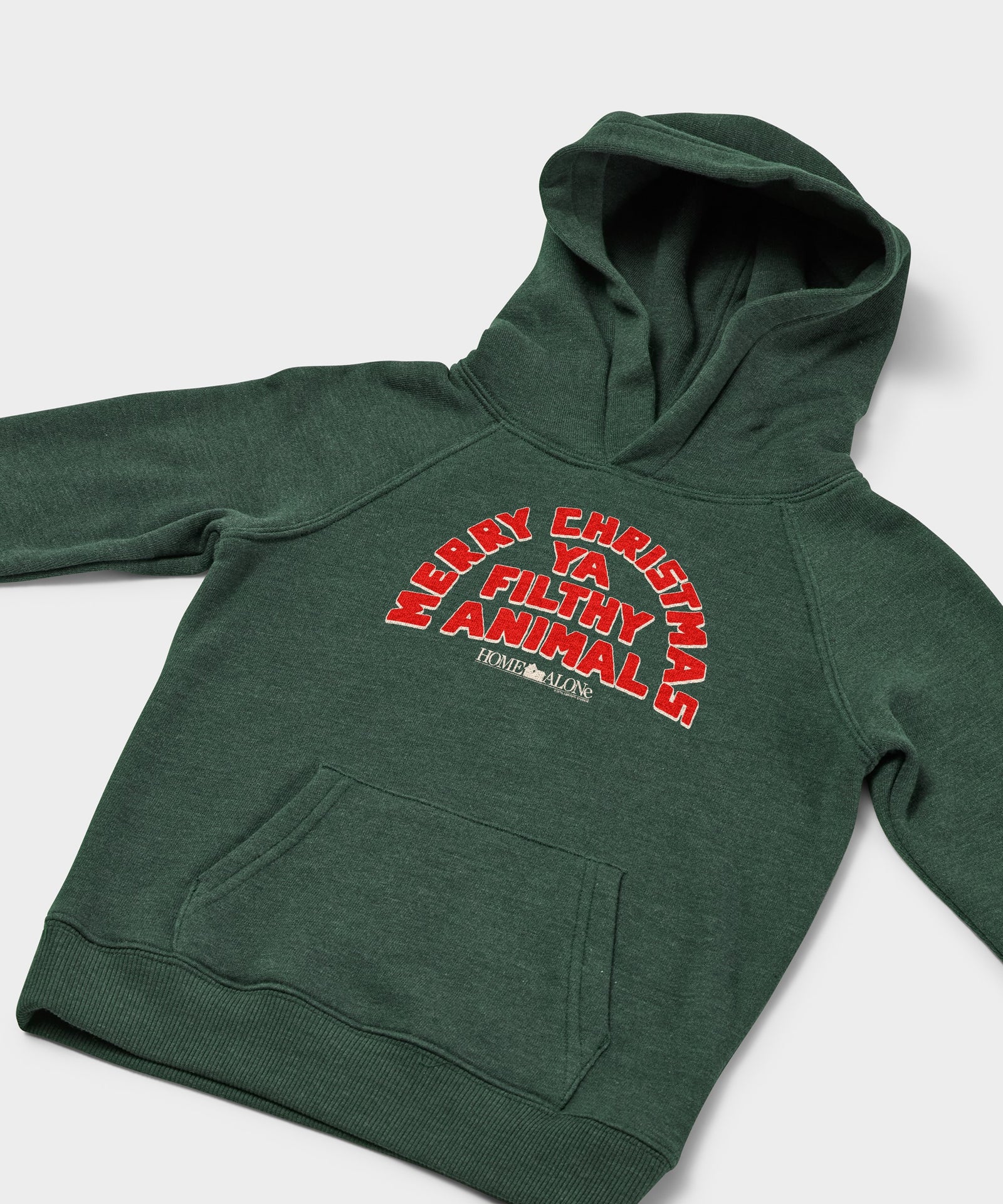 Youth Home Alone Merry Christmas Ya Filthy Animal Hoodie