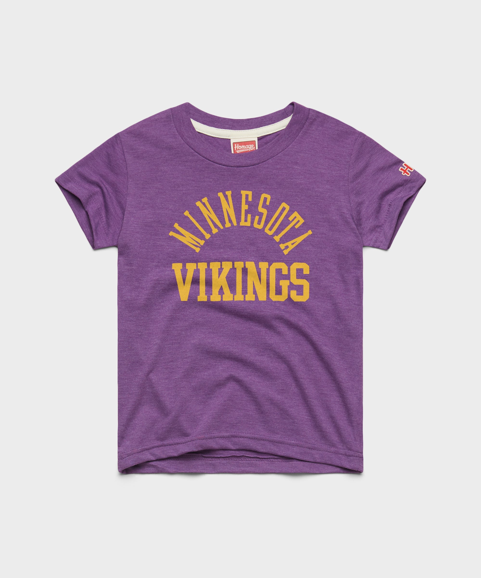 Youth Minnesota Vikings Classic Royal Purple