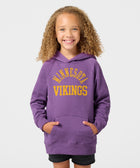 Youth Minnesota Vikings Classic Hoodie