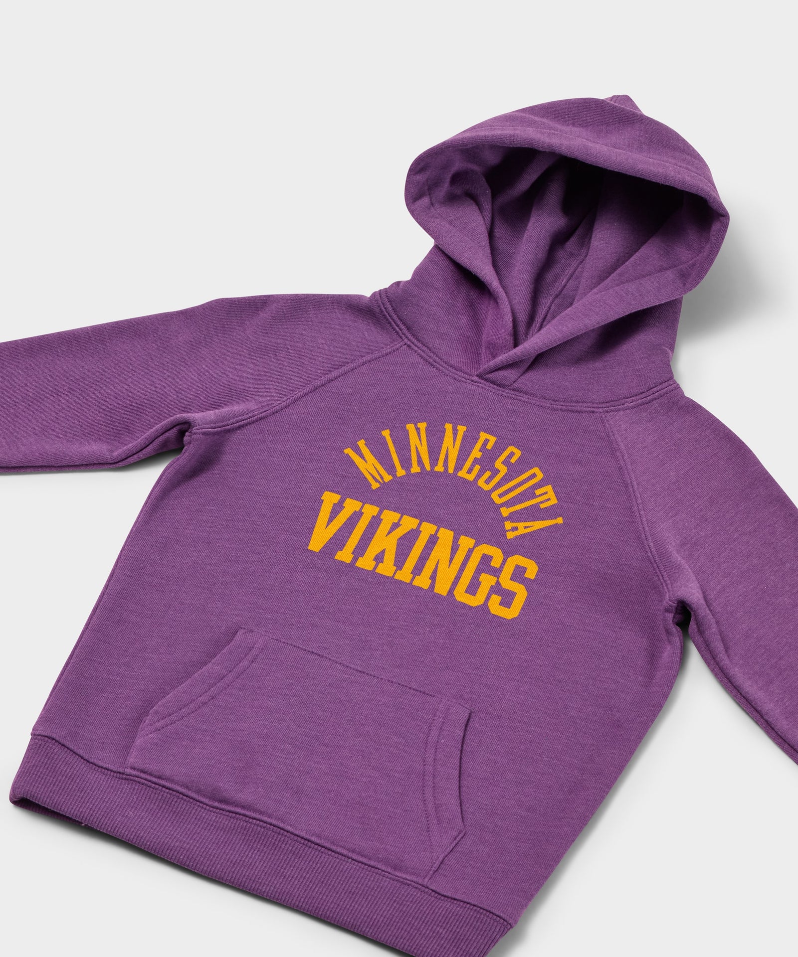 Youth Minnesota Vikings Classic Hoodie