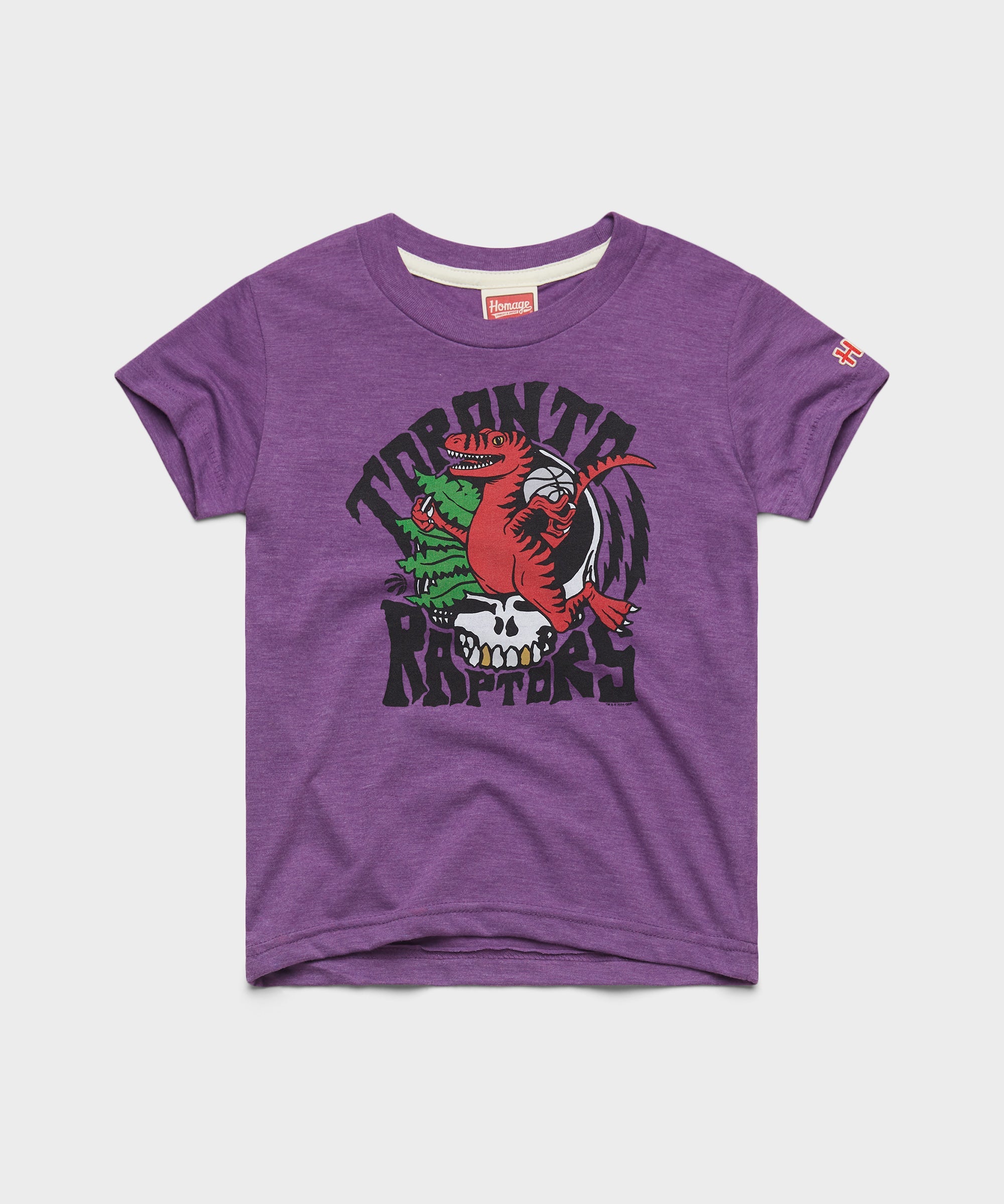 Youth NBA x Grateful Dead x Raptors Skull