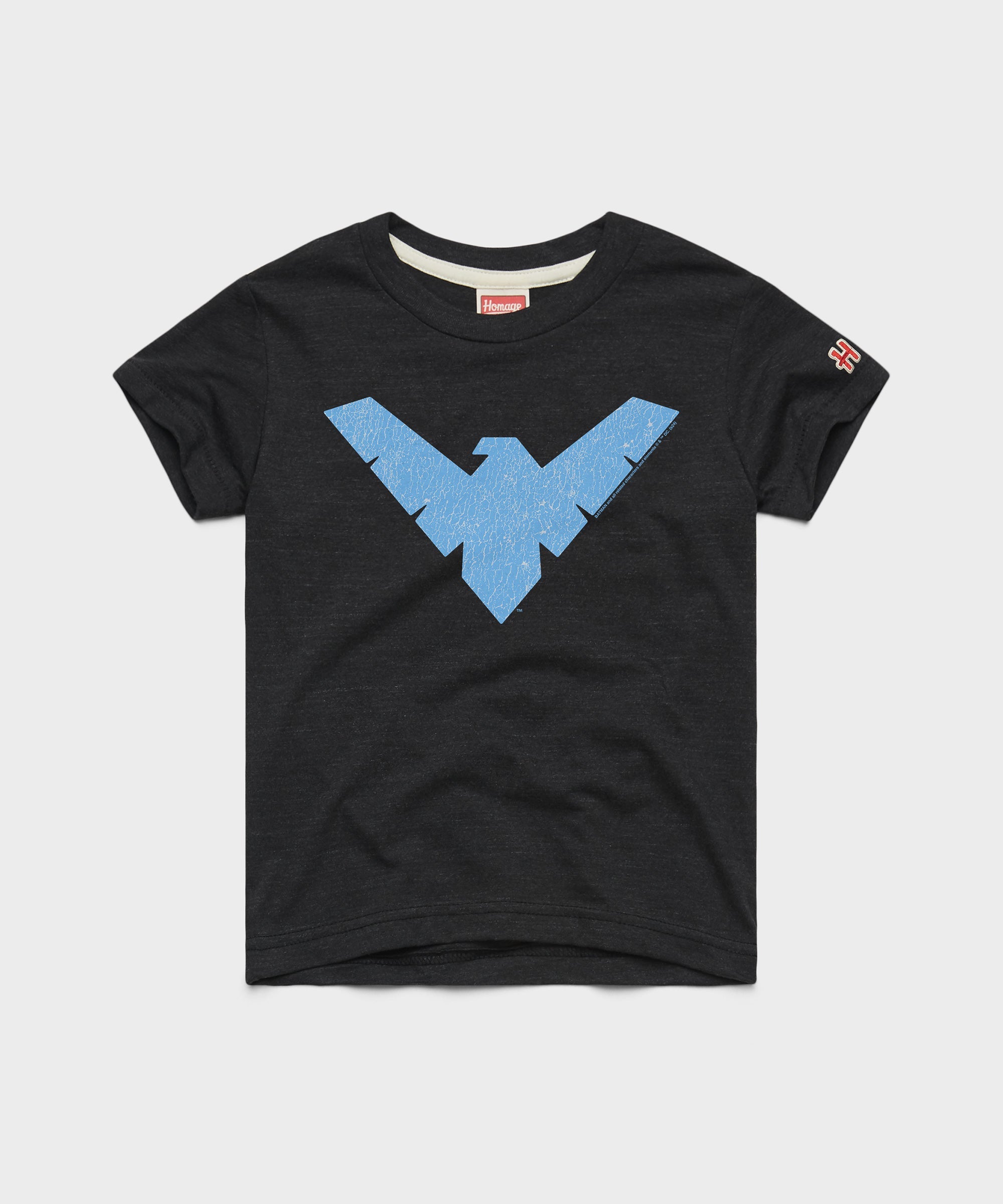 Youth Nightwing Logo