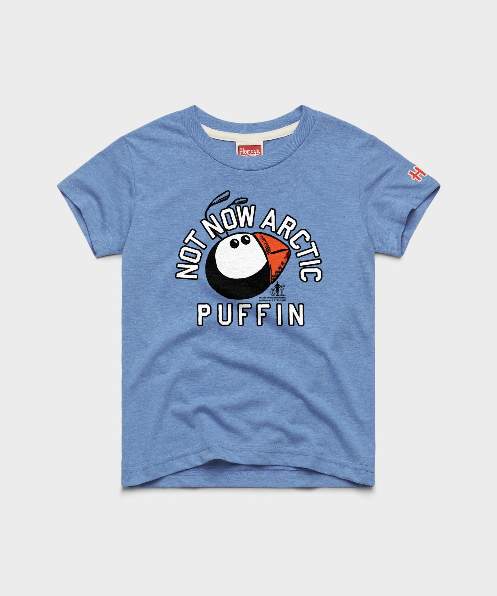 Youth Not Now Arctic Puffin