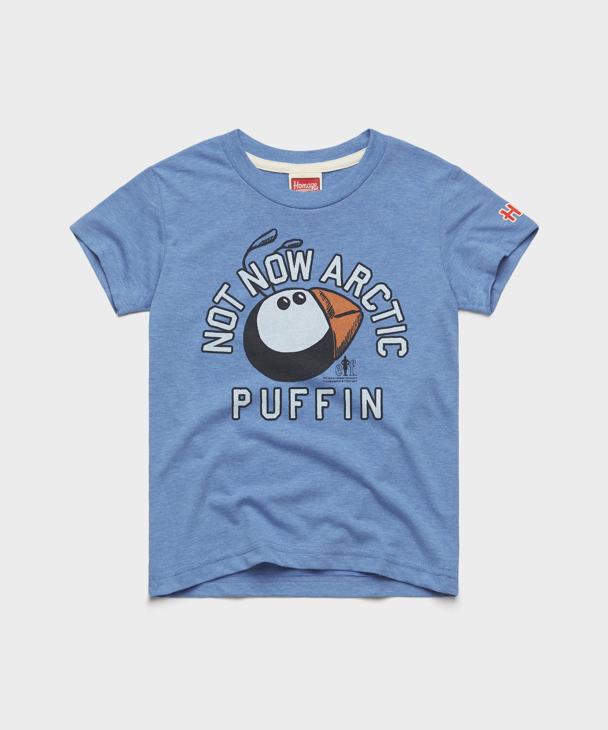 Youth Not Now Arctic Puffin