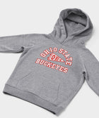 Youth Ohio State Buckeyes Pennant Hoodie
