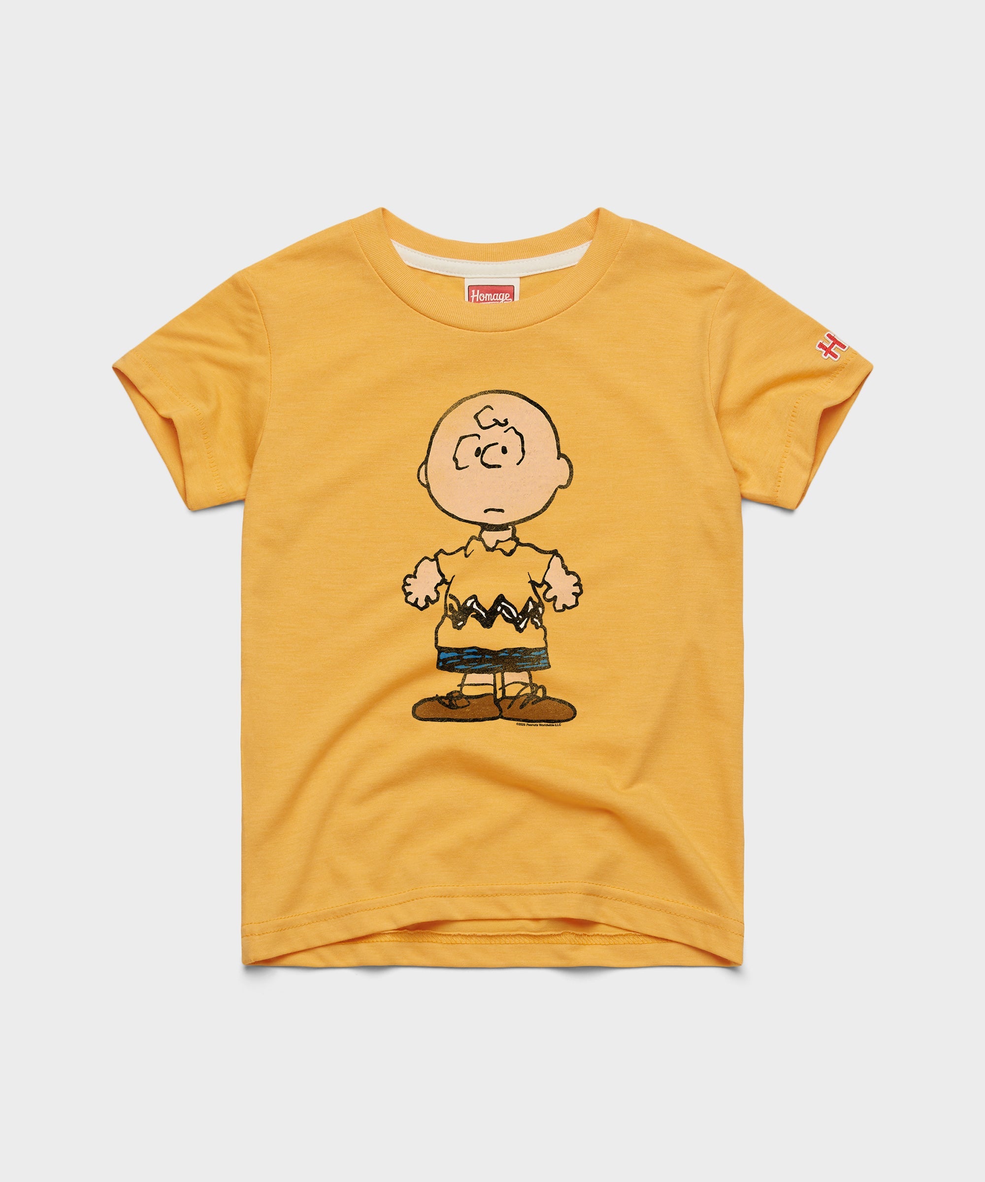 Youth Peanuts Charlie Brown Character