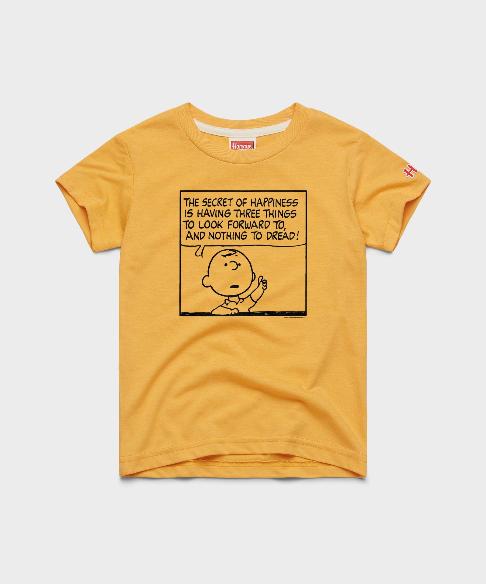 Youth Peanuts Charlie Brown Secret Of Happiness