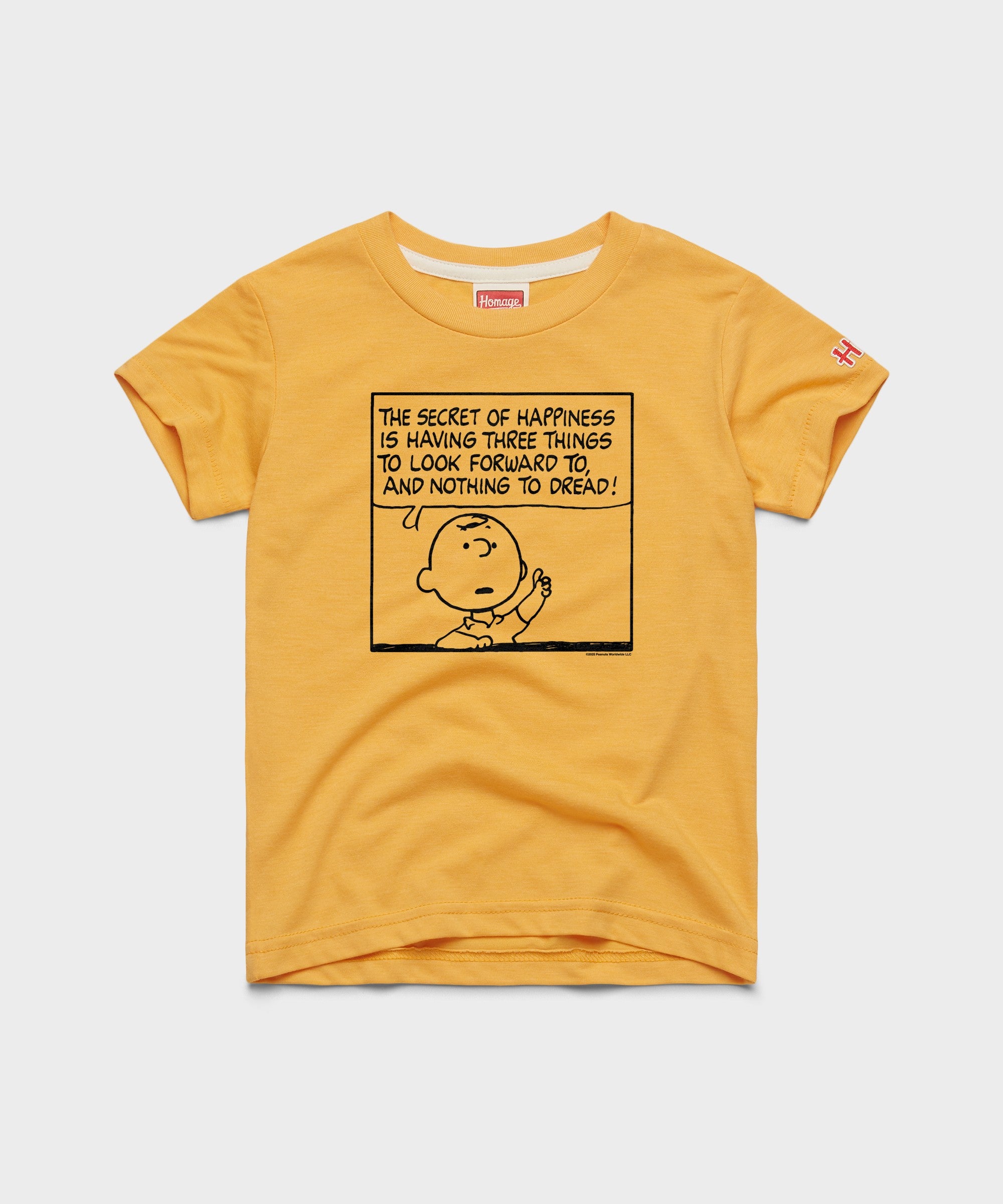 Youth Peanuts Charlie Brown Secret Of Happiness