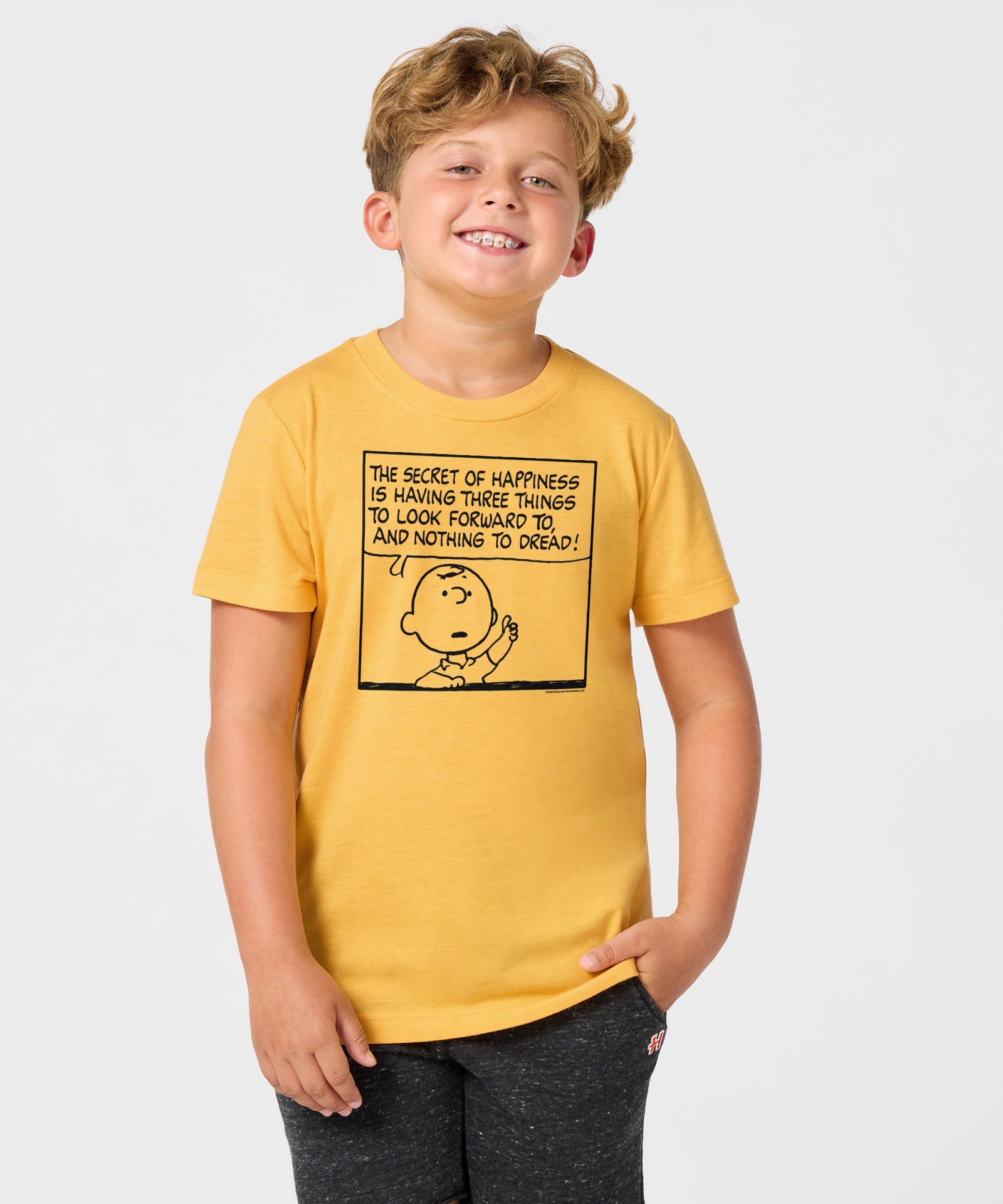 Youth Peanuts Charlie Brown Secret Of Happiness