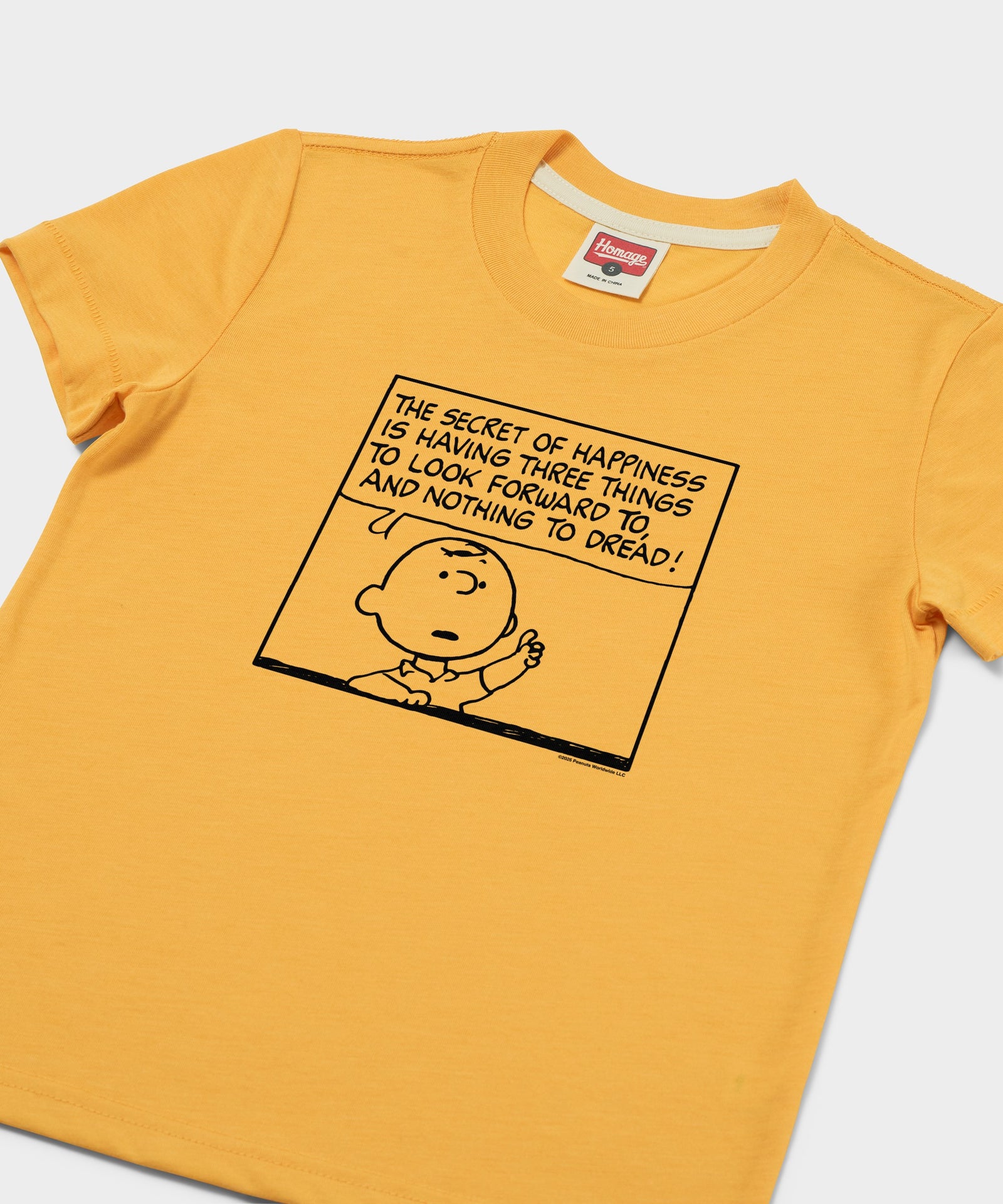 Youth Peanuts Charlie Brown Secret Of Happiness