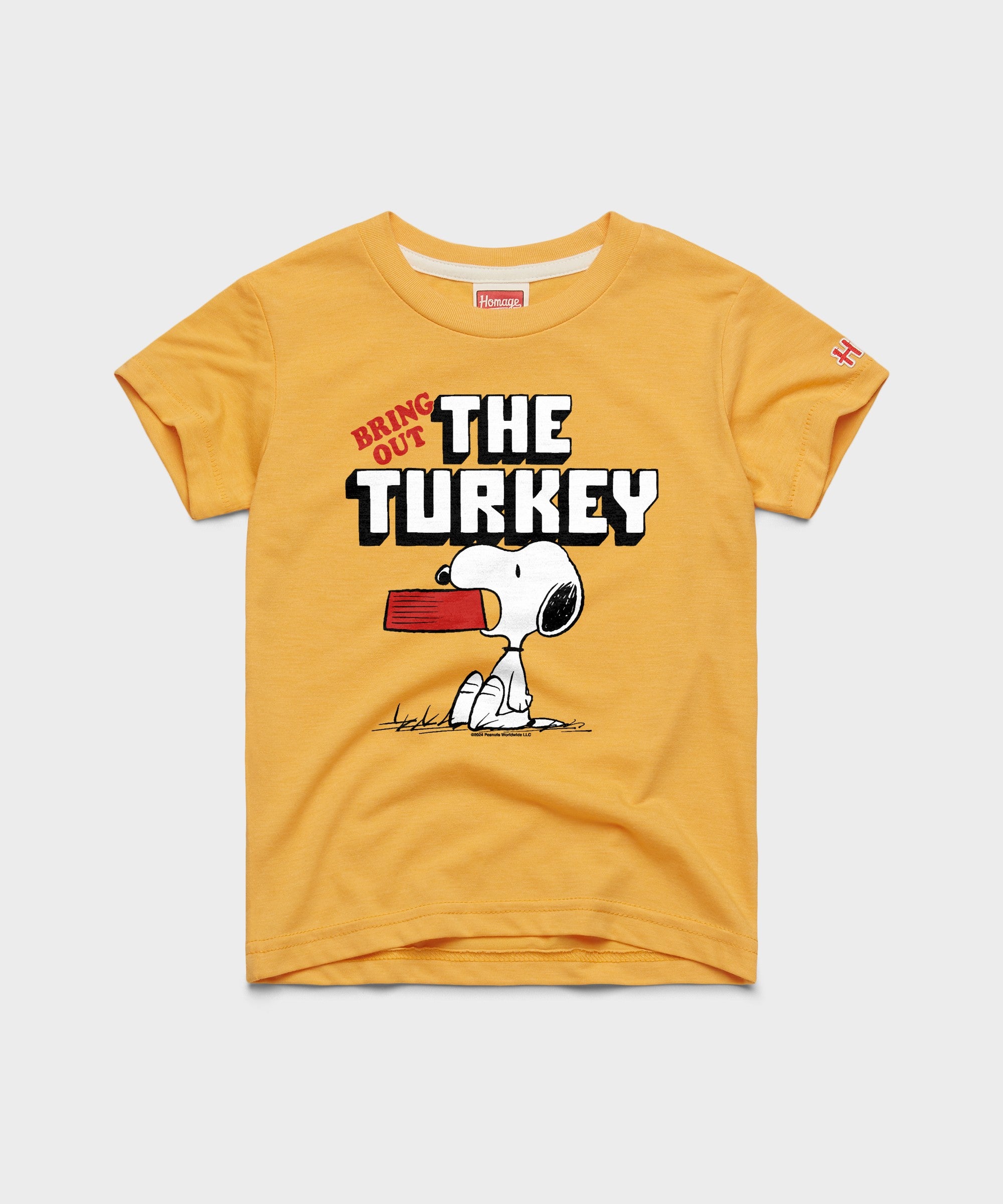 Youth Peanuts Snoopy Bring Out The Turkey