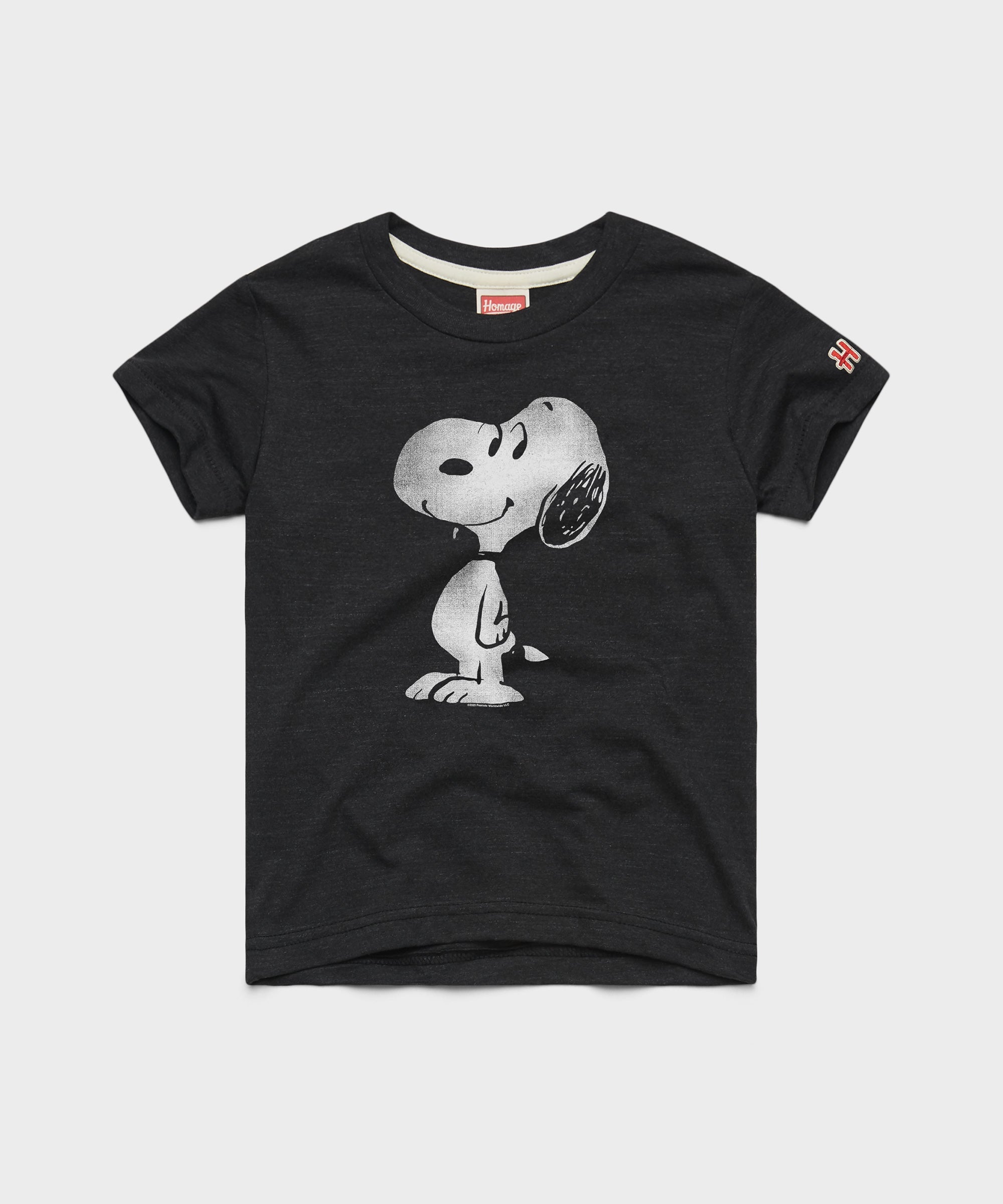 Youth Peanuts Snoopy Character Charcoal