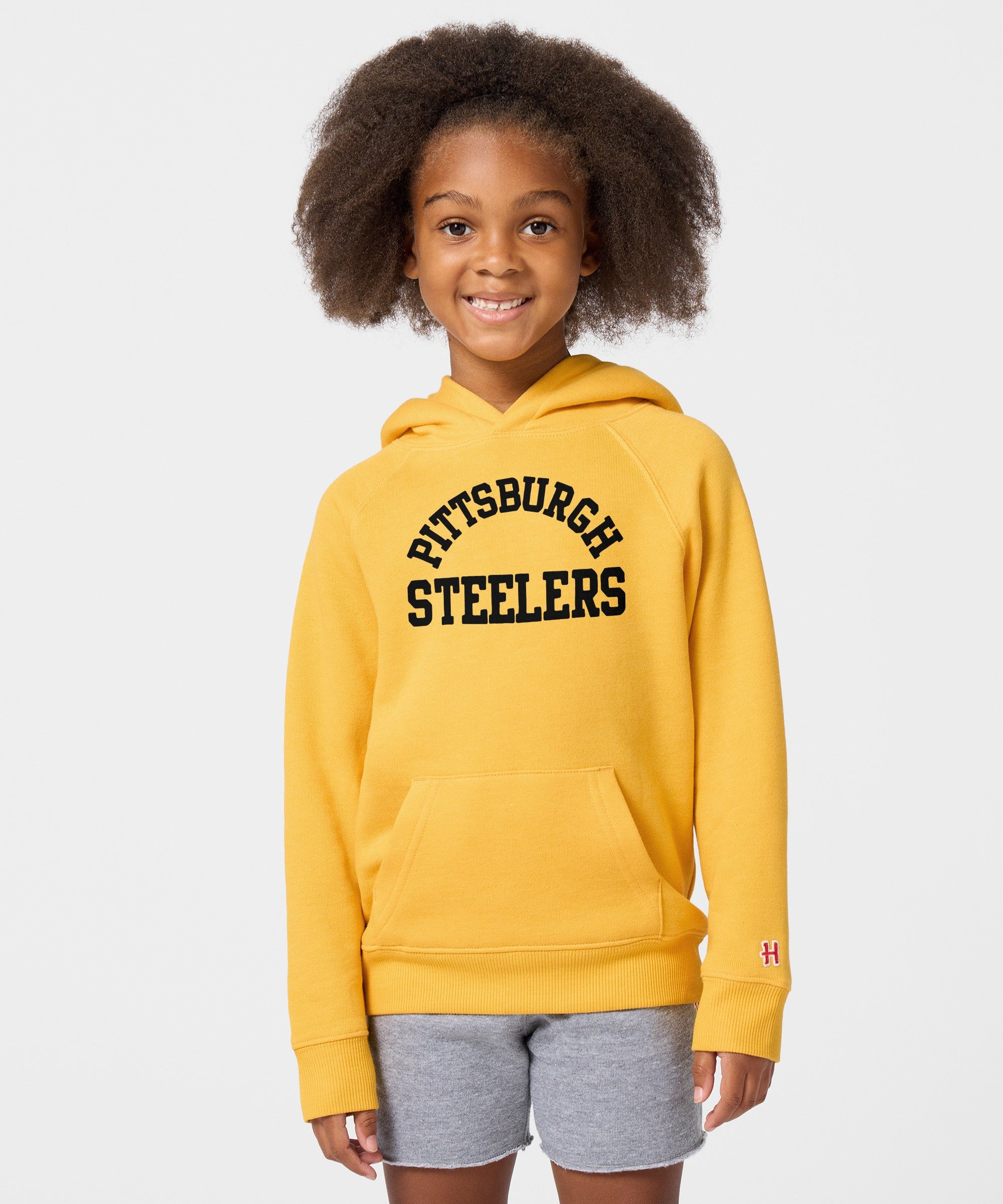 Youth Pittsburgh Steelers Classic Hoodie