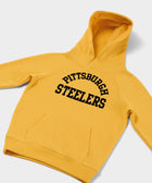 Youth Pittsburgh Steelers Classic Hoodie