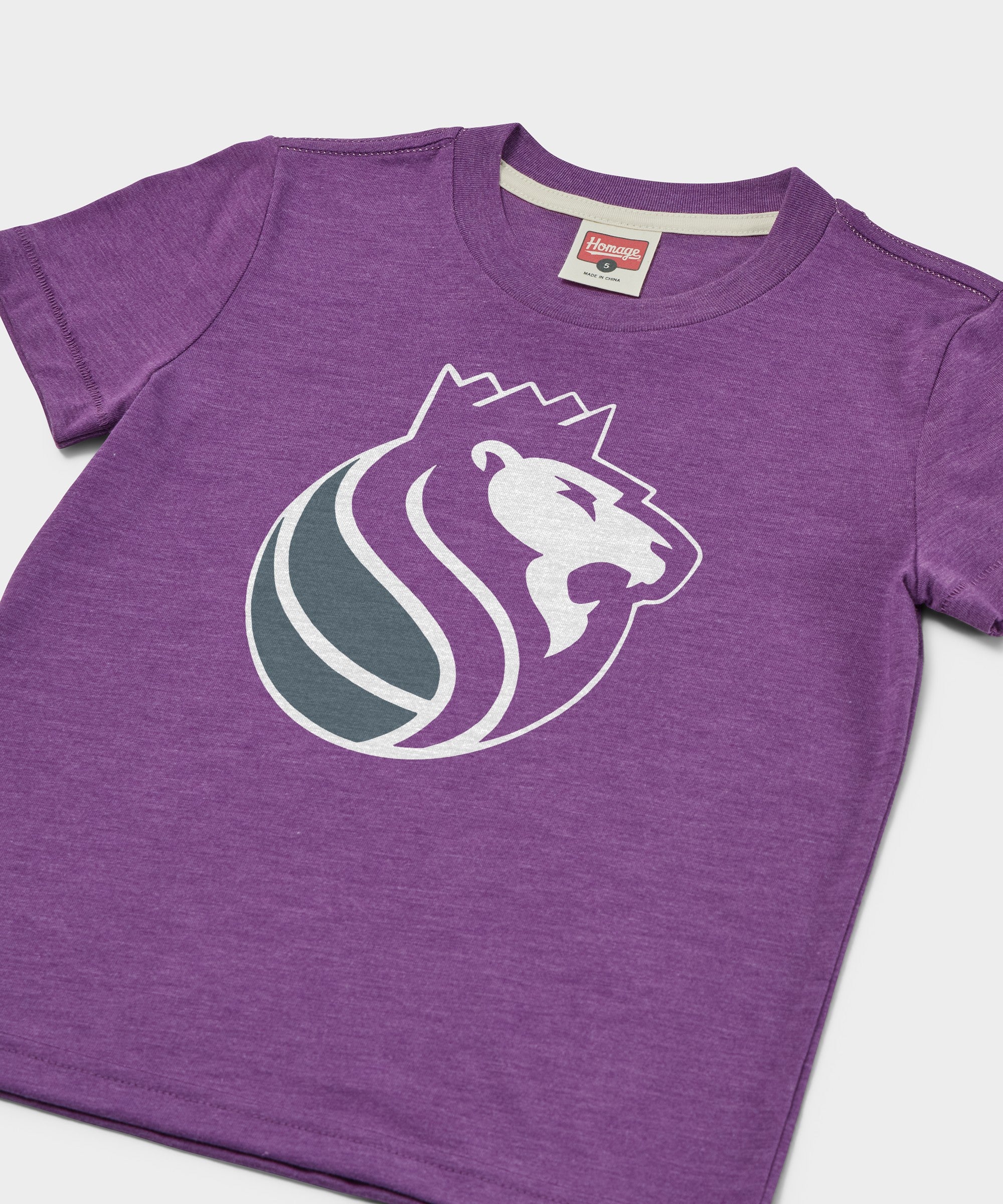 Youth Sacramento Kings Logo