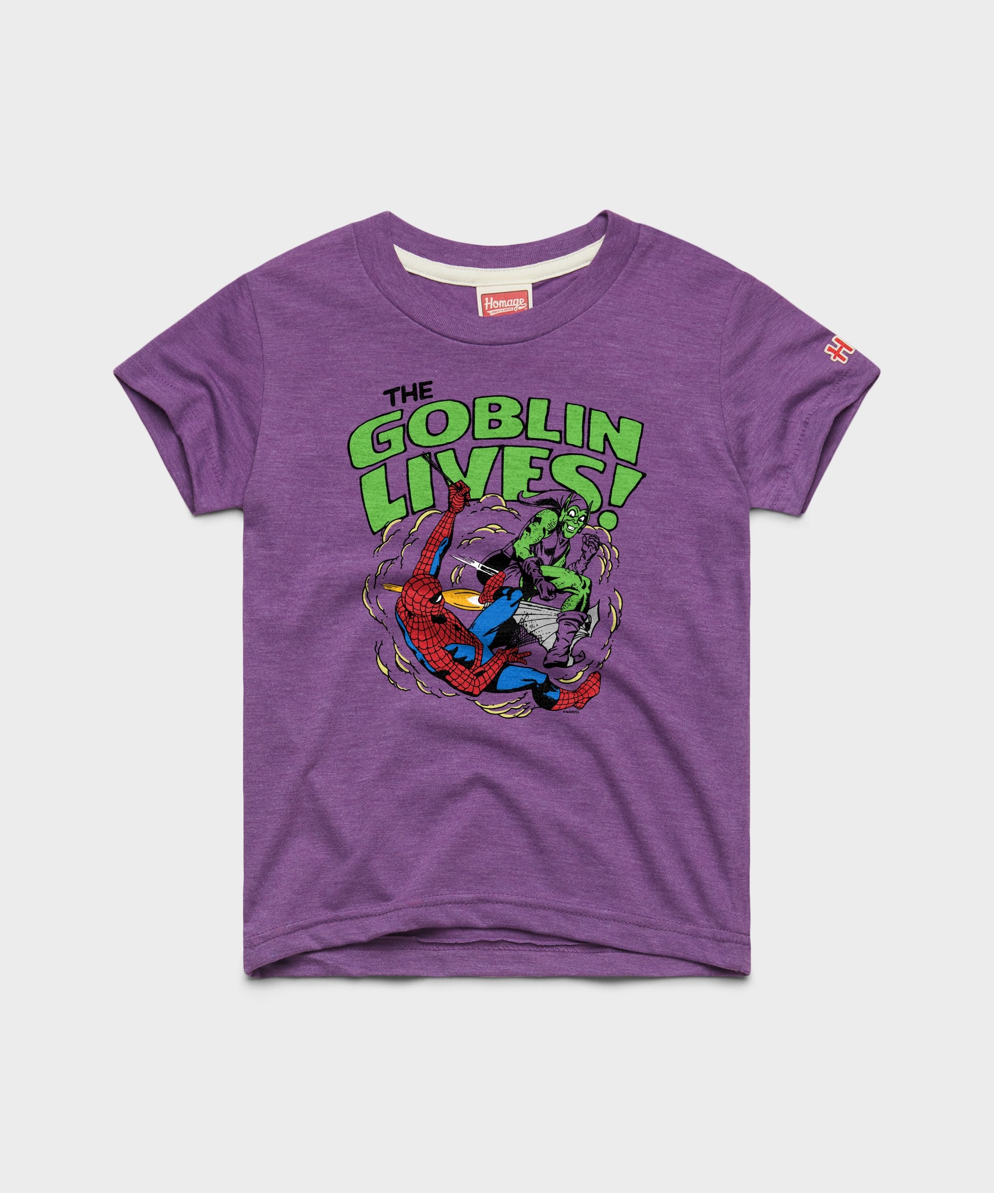 Youth Spider Man The Goblin Lives