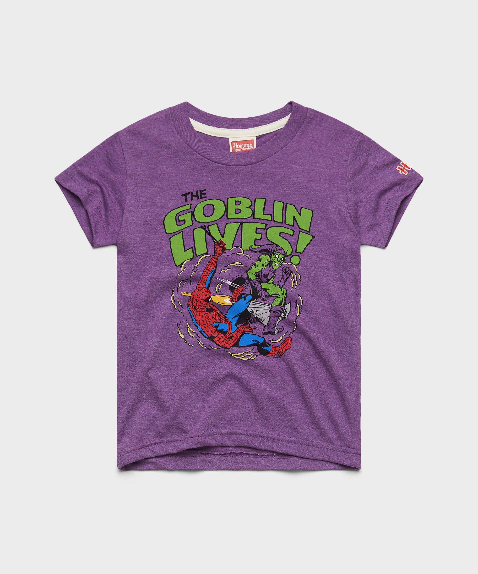 Youth Spider Man The Goblin Lives