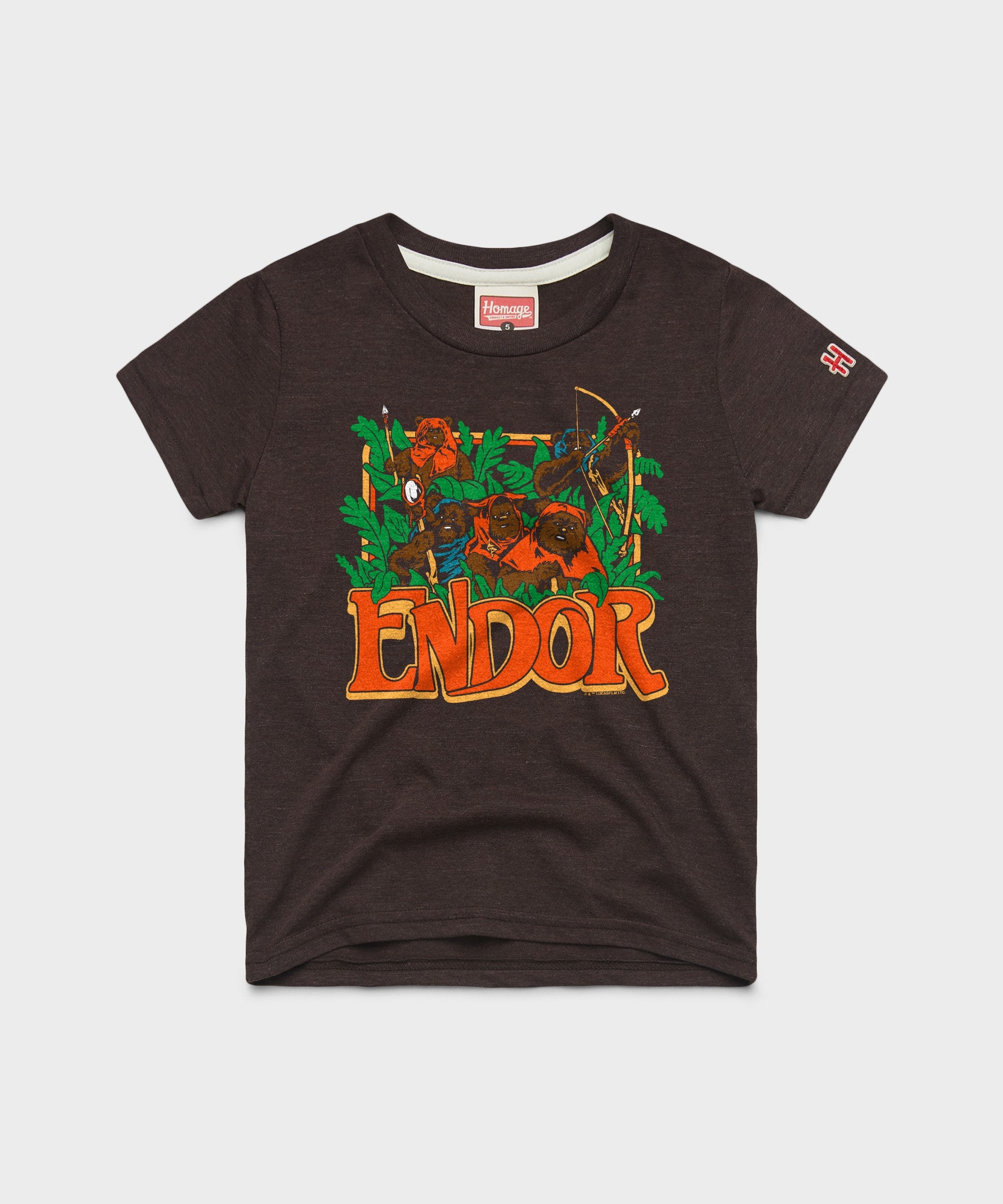 Youth Star Wars Endor