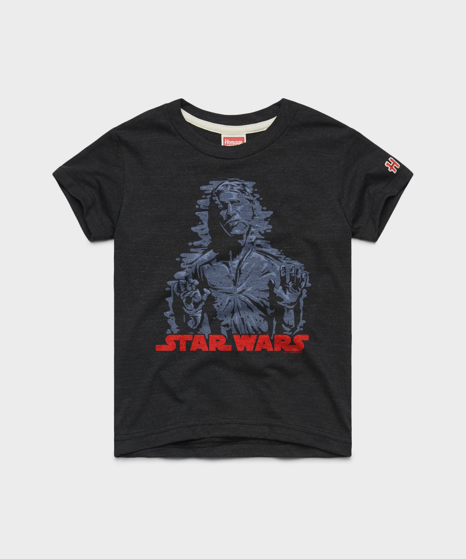 Youth Star Wars Han In Carbonite