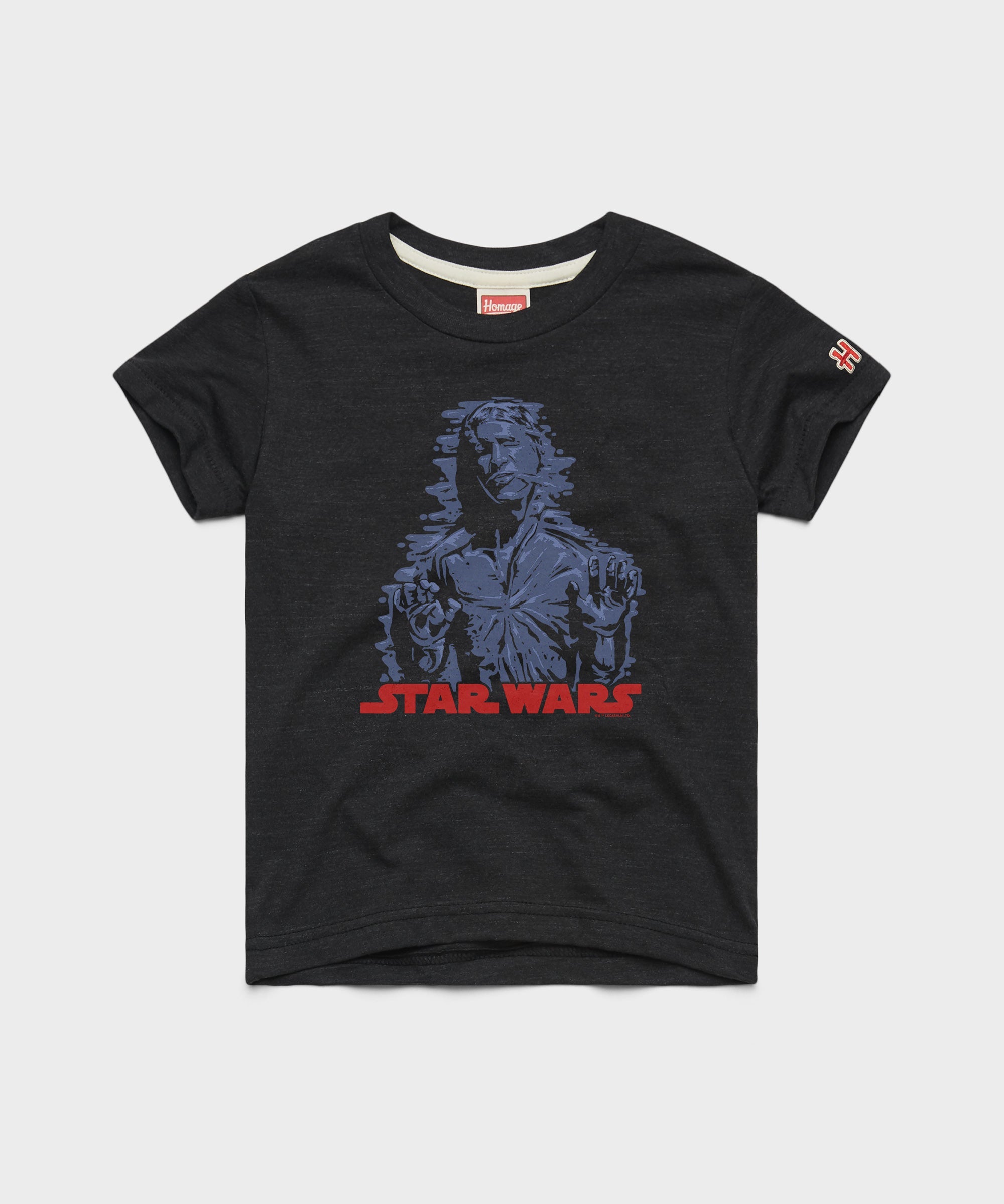 Youth Star Wars Han In Carbonite