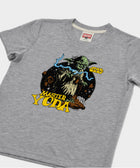 Youth Star Wars Master Yoda