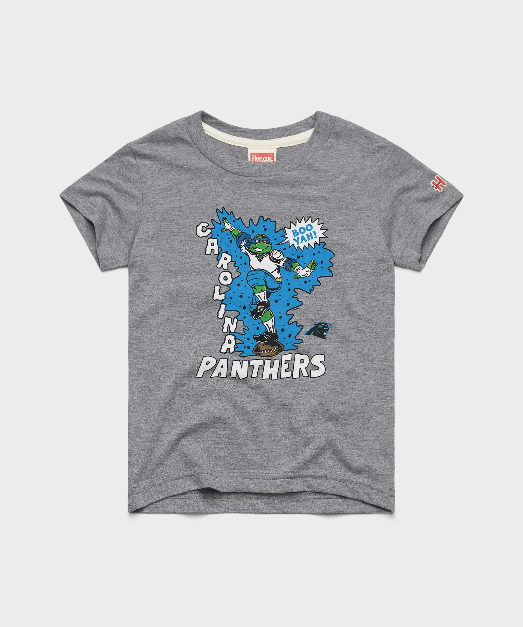 Youth TMNT Leonardo x Carolina Panthers Grey