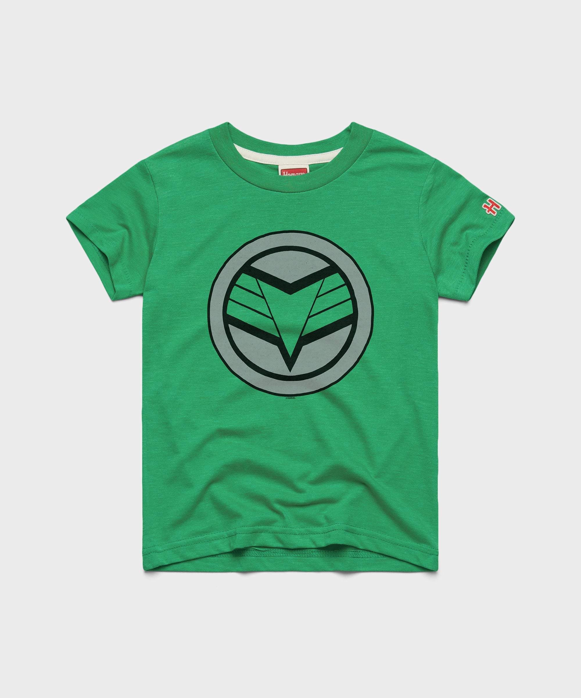 Youth The Falcon Logo