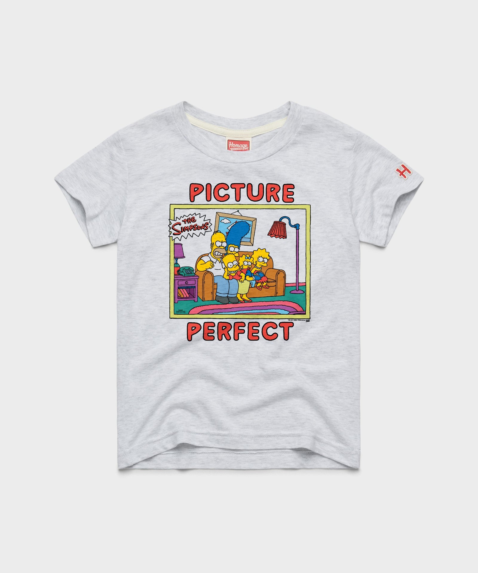 Youth The Simpsons Picture Perfect