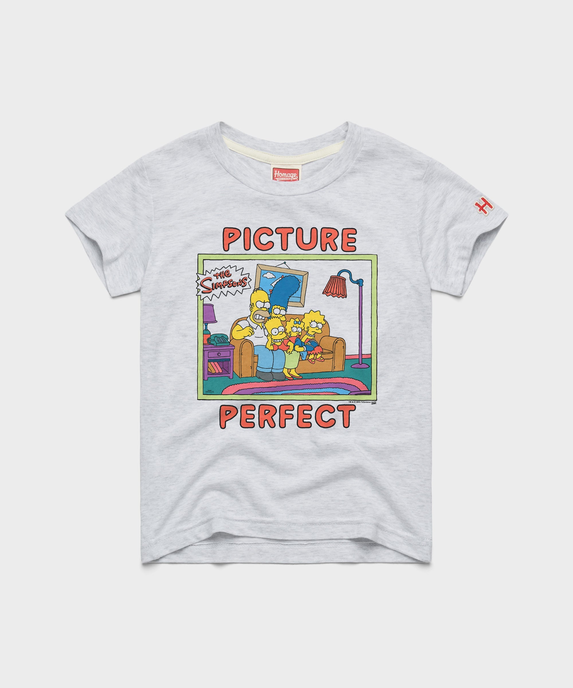 Youth The Simpsons Picture Perfect