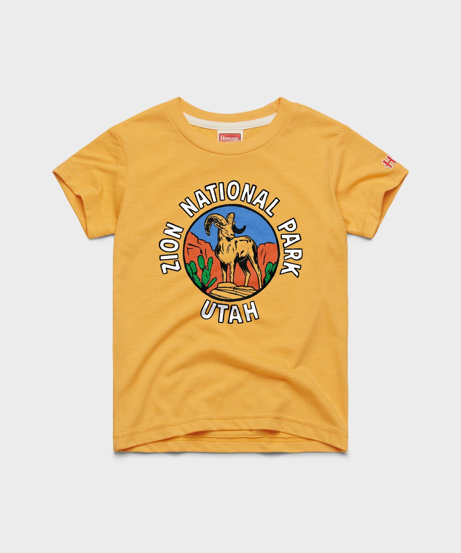 Youth Zion National Park