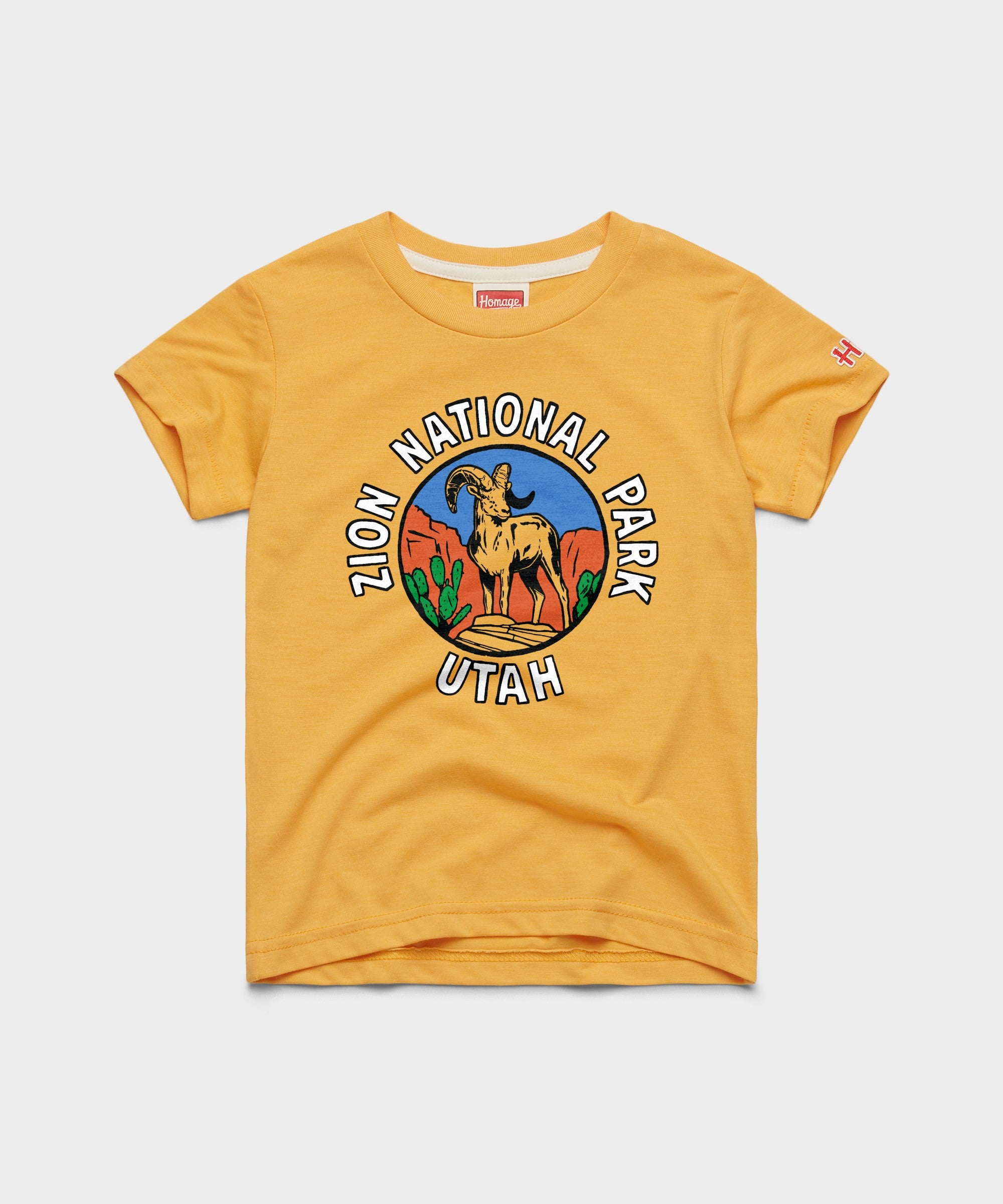 Youth Zion National Park