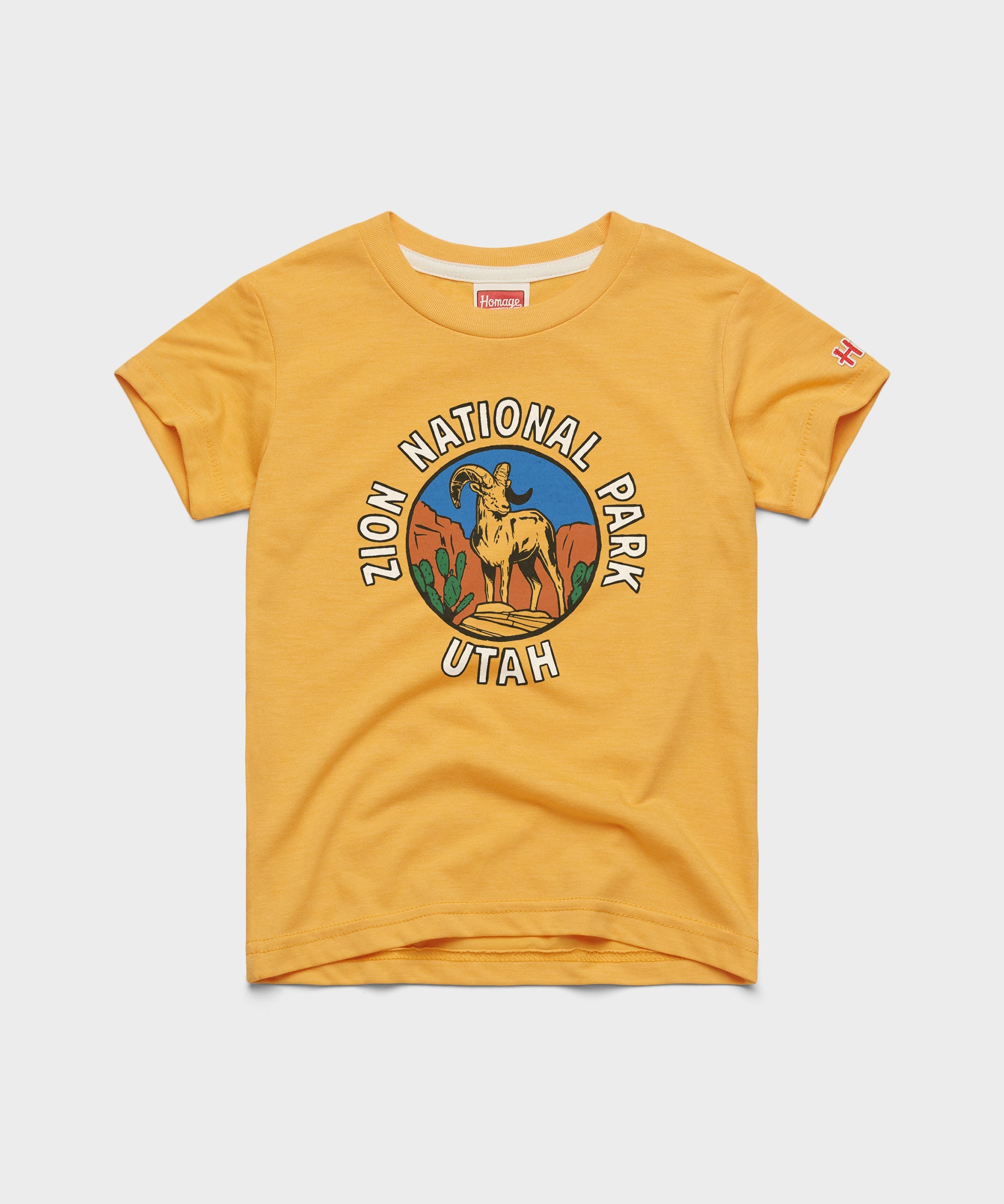 Youth Zion National Park