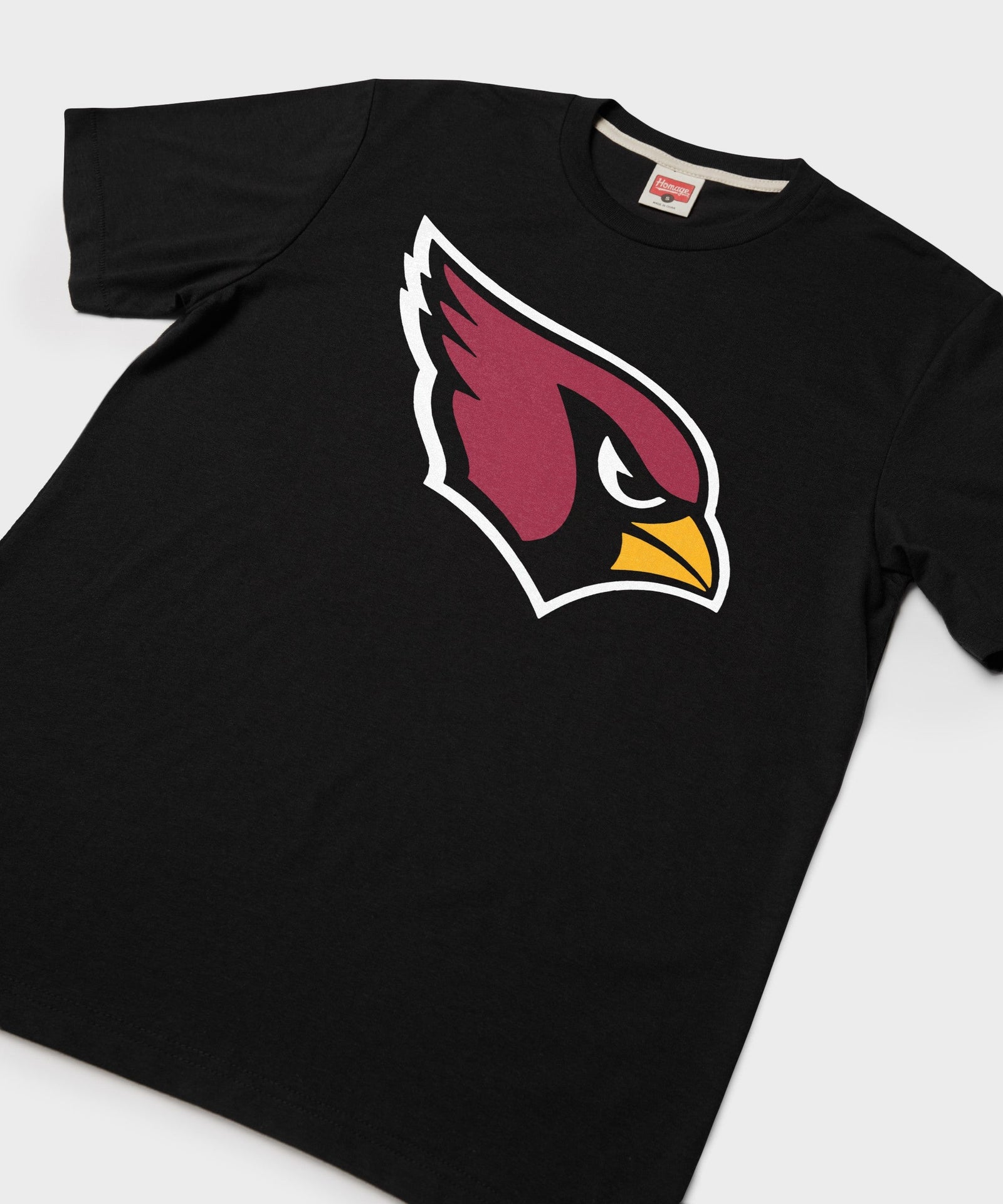 arizona cardinals '05