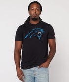 carolina panthers '12