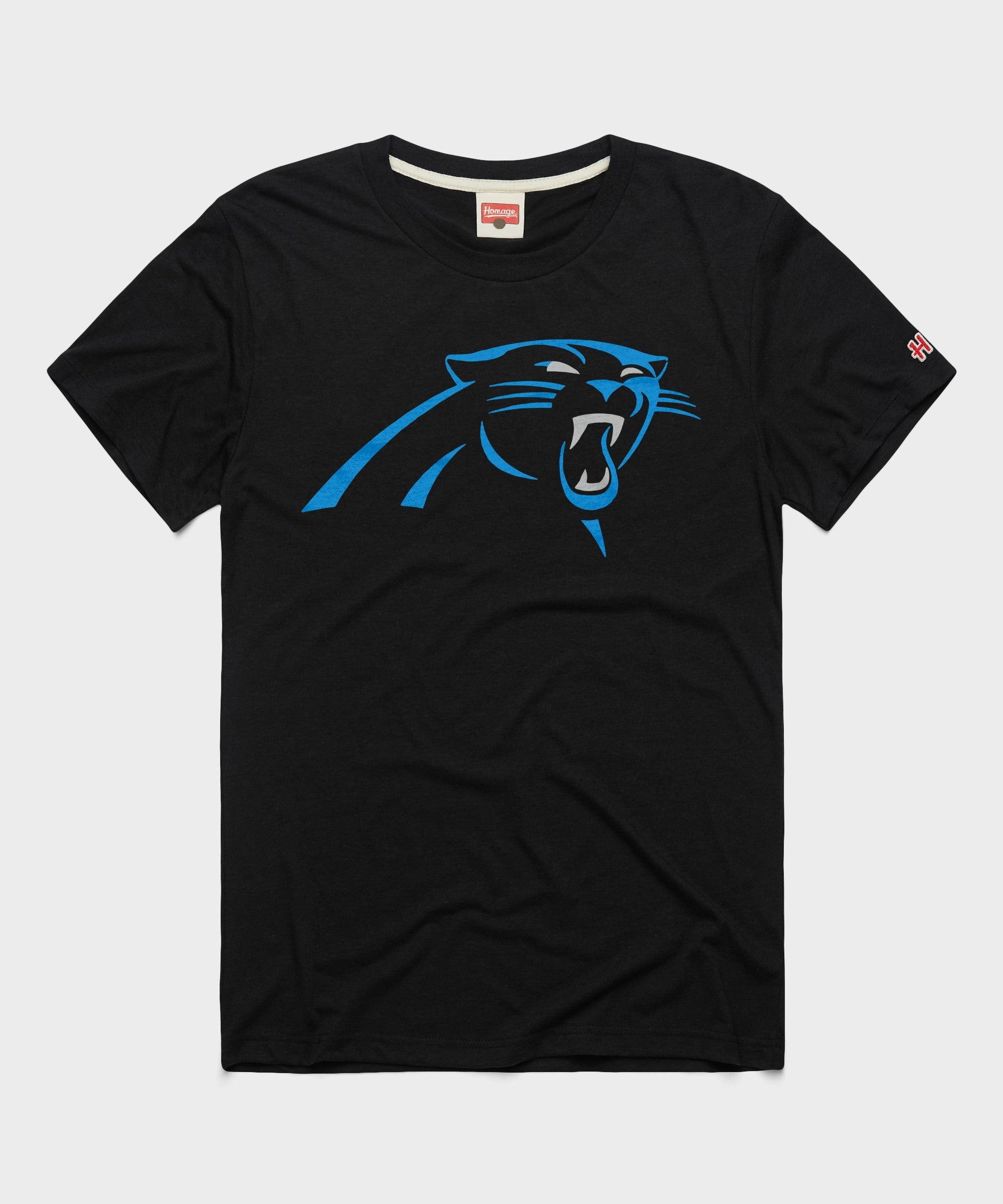 carolina panthers '12
