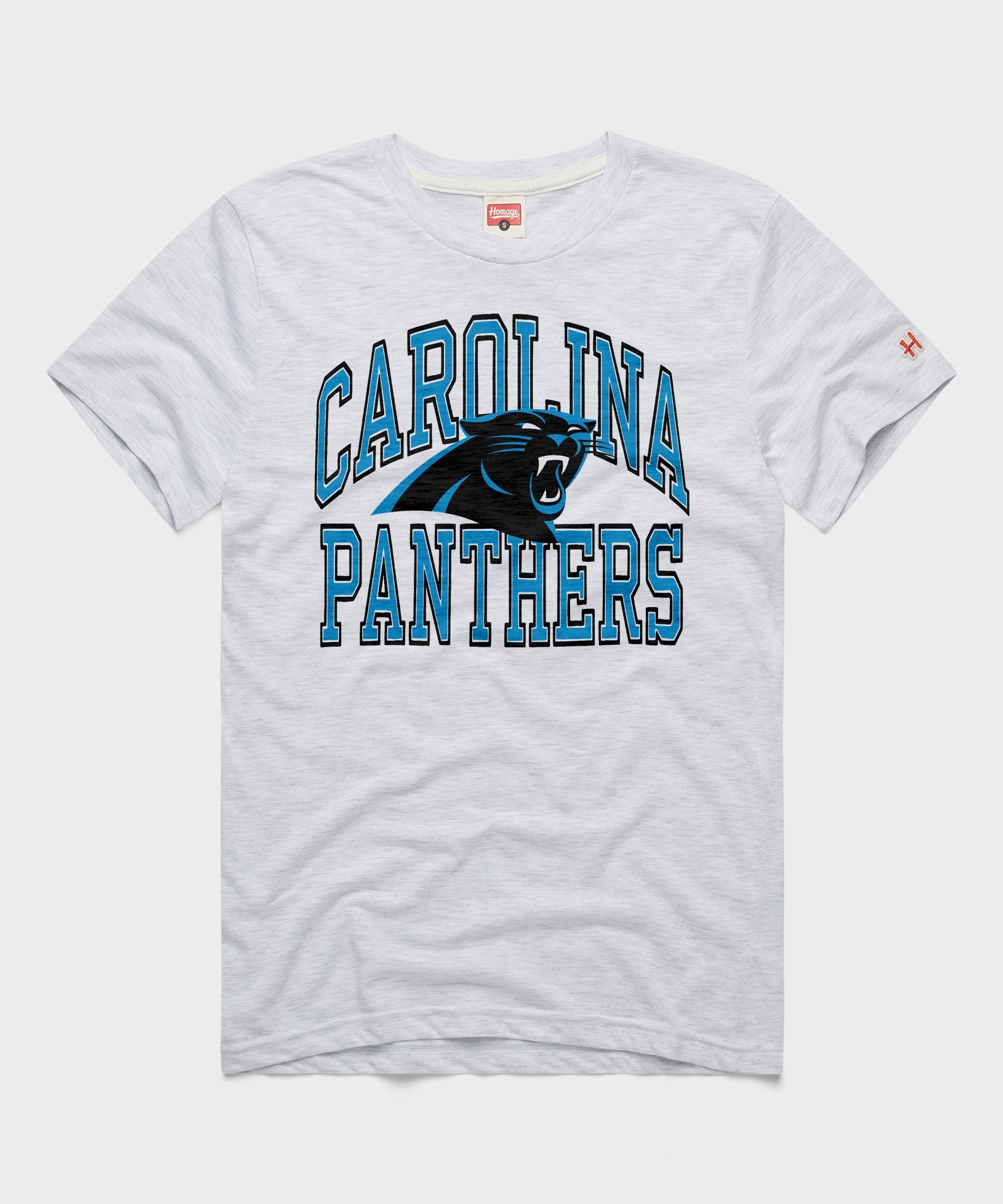 Carolina Panthers Arch