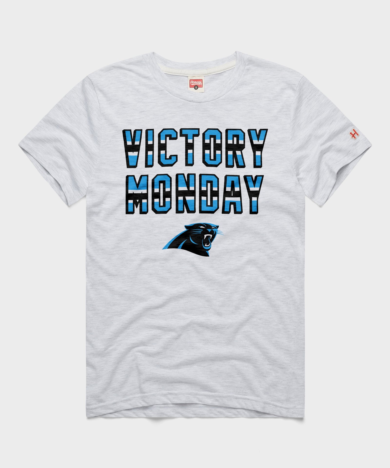 Carolina Panthers Victory Monday