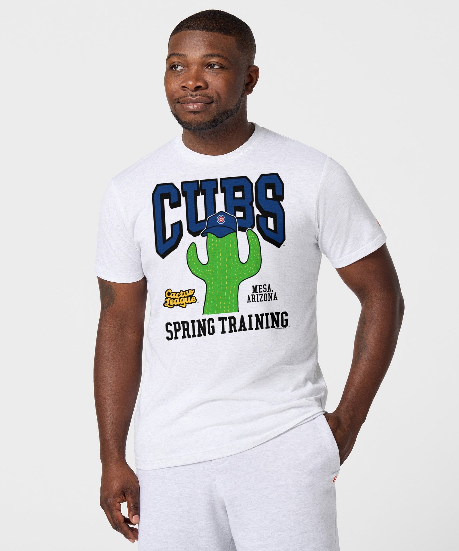 chicago cubs cactus league