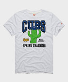chicago cubs cactus league