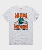 Dolphins 2 Time Super Bowl Champions