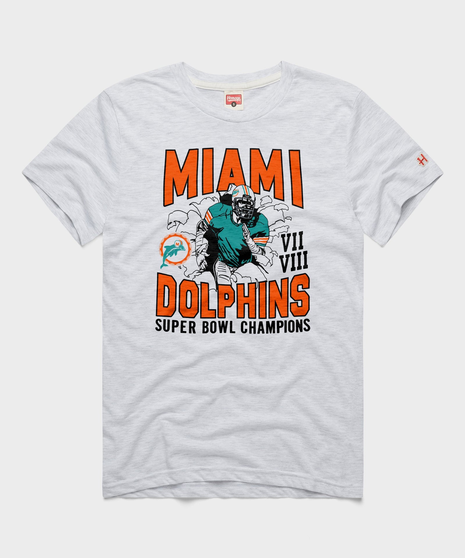Dolphins 2 Time Super Bowl Champions