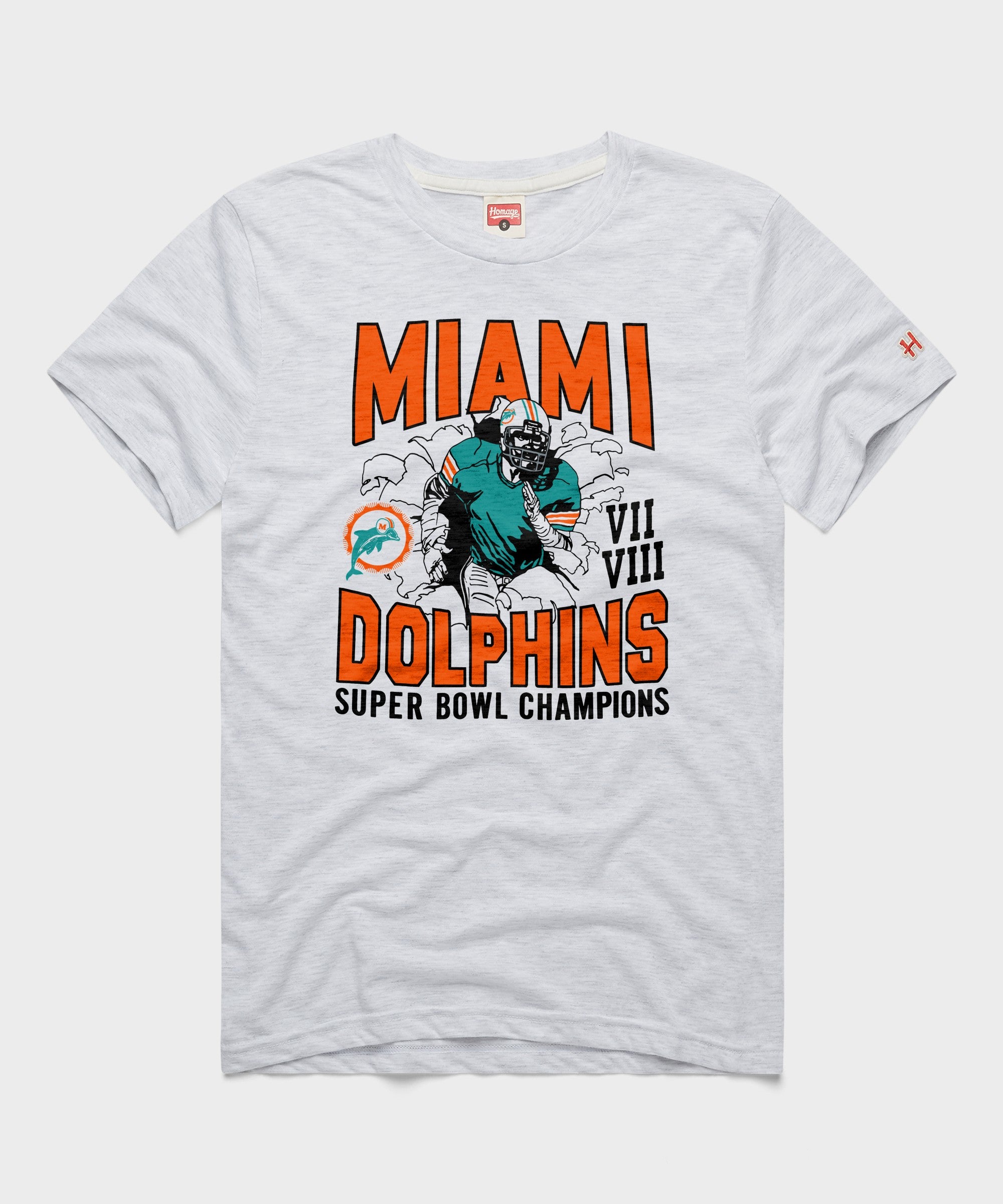 Dolphins 2 Time Super Bowl Champions