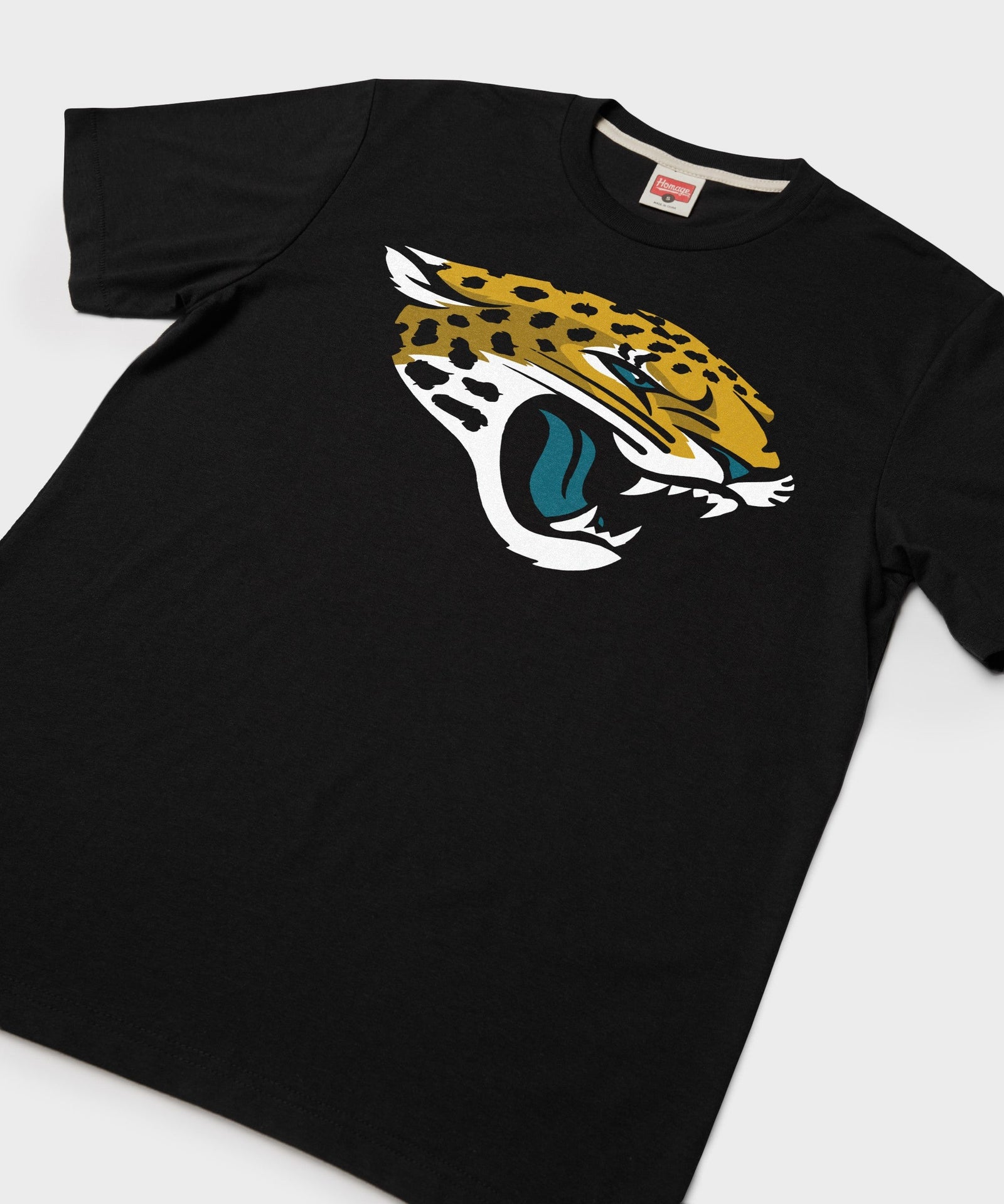 jacksonville jaguars '13