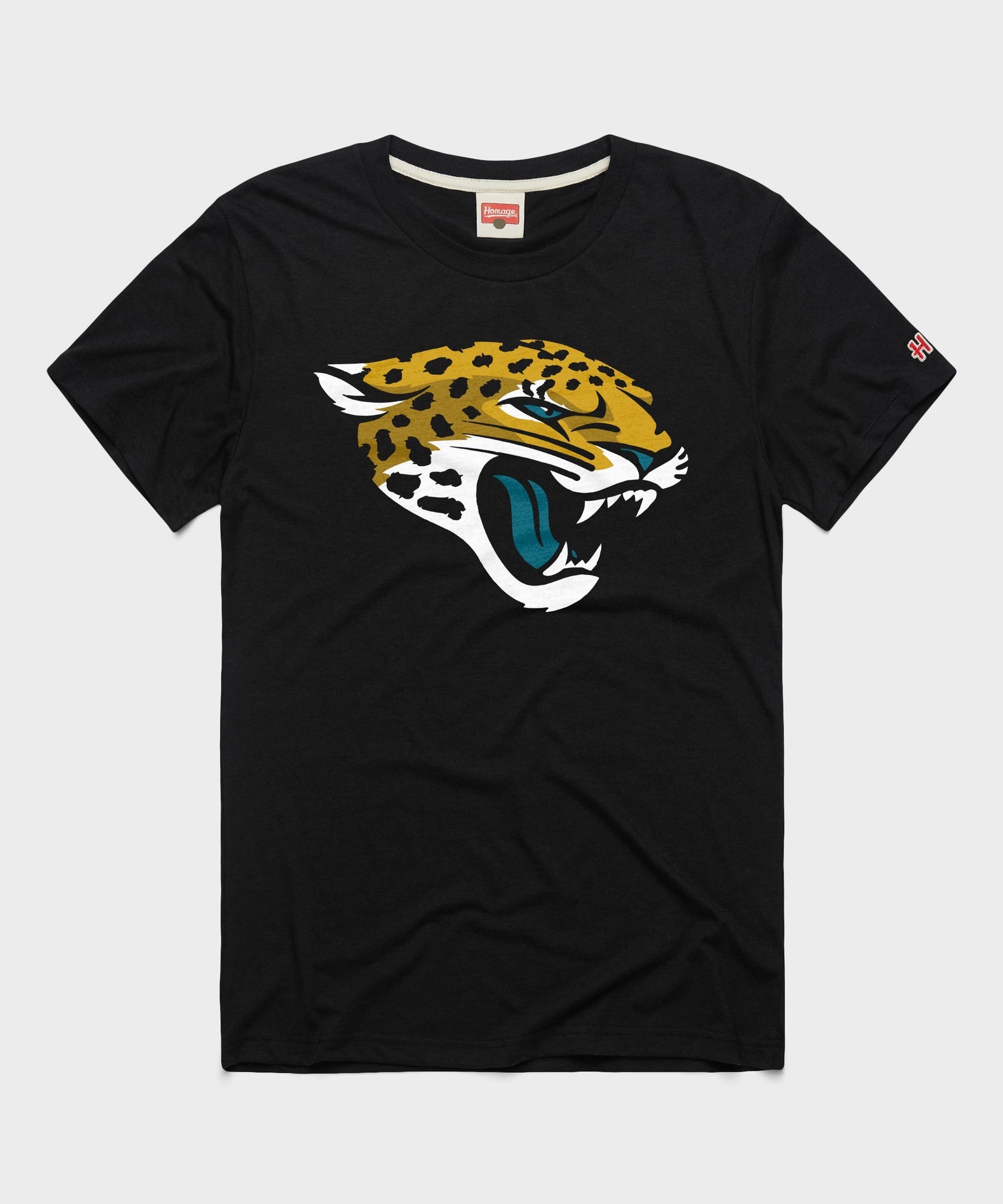 jacksonville jaguars '13