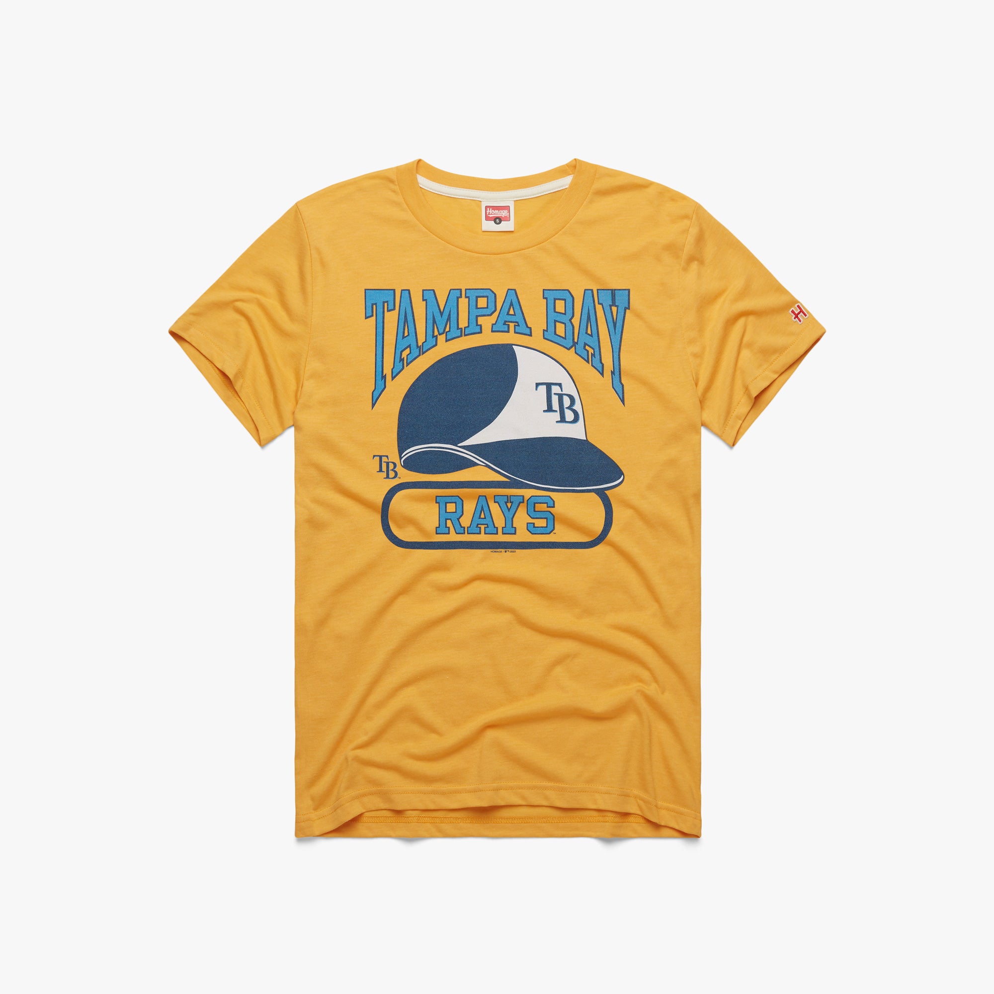tampa bay rays jersey dogs