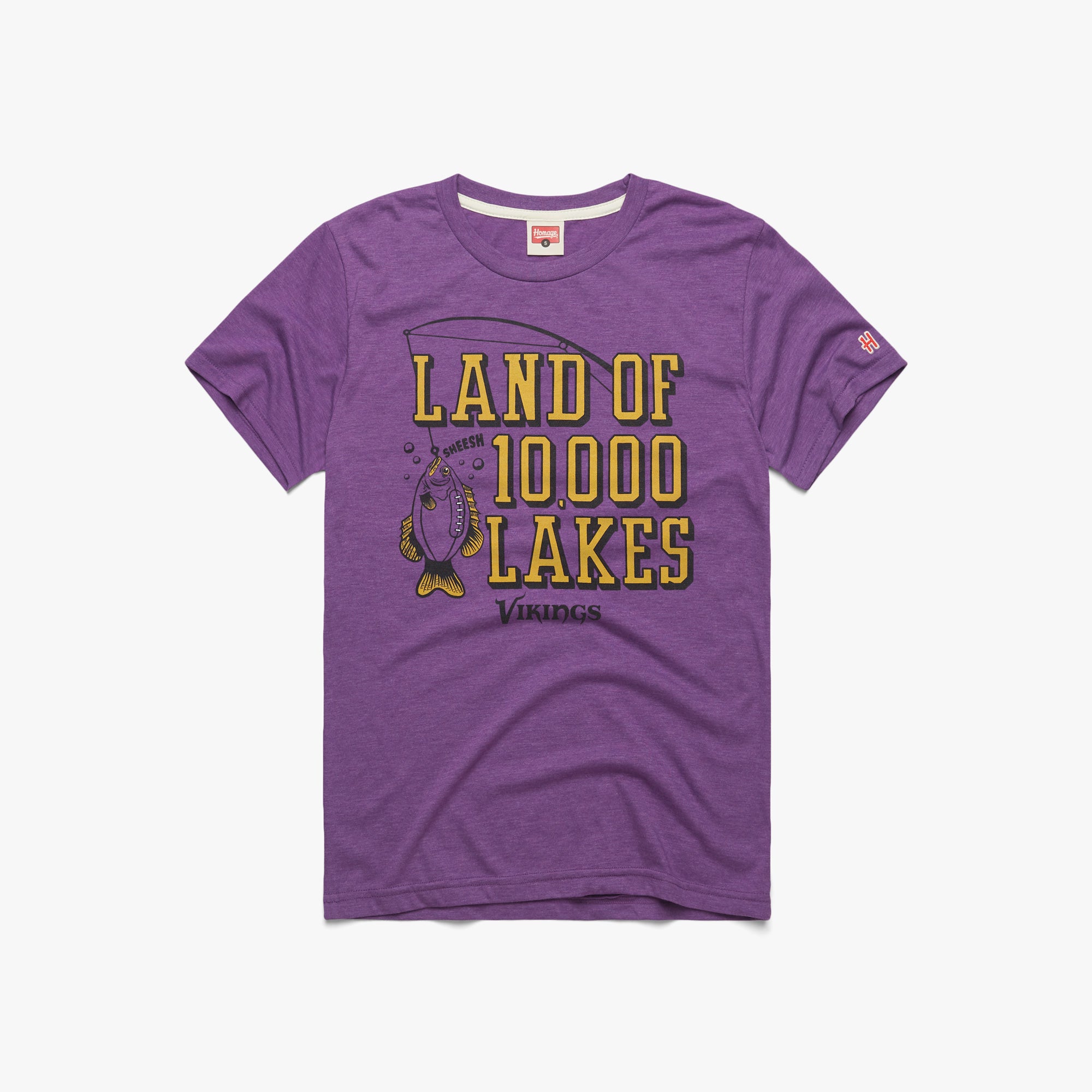 Vikings Land Of 10,000 Lakes